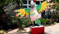 grand-turk-parrot-statue thumbnail photo