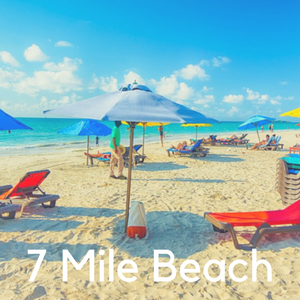 Beach with umbrellas and lounge chairs